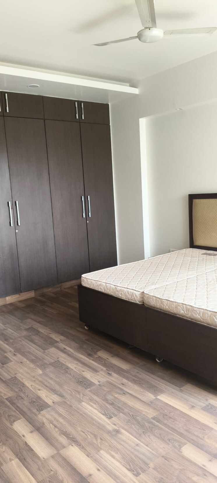 Bedroom, defence colony 3 Bedroom 325 Sq.Yd. Builder Floor In Defence Colony Delhi 8669317