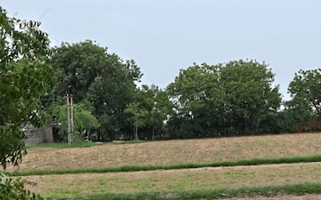 Plot For Sale in Science City