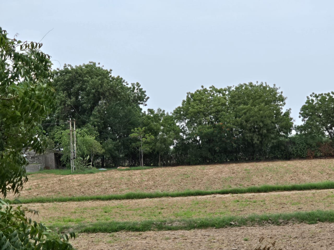 Plot For Sale in Scinccity 