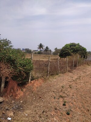 Plot Area in  Plot at Whitefield – for Sale