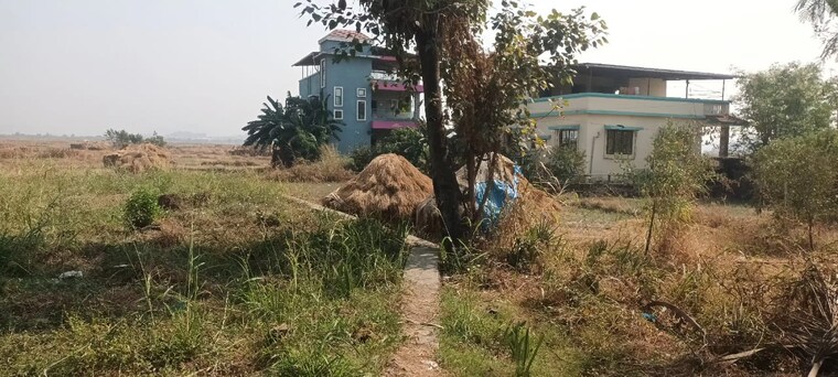 Garden, virar west Commercial Land 2 Acre In Virar West Palghar 8669423