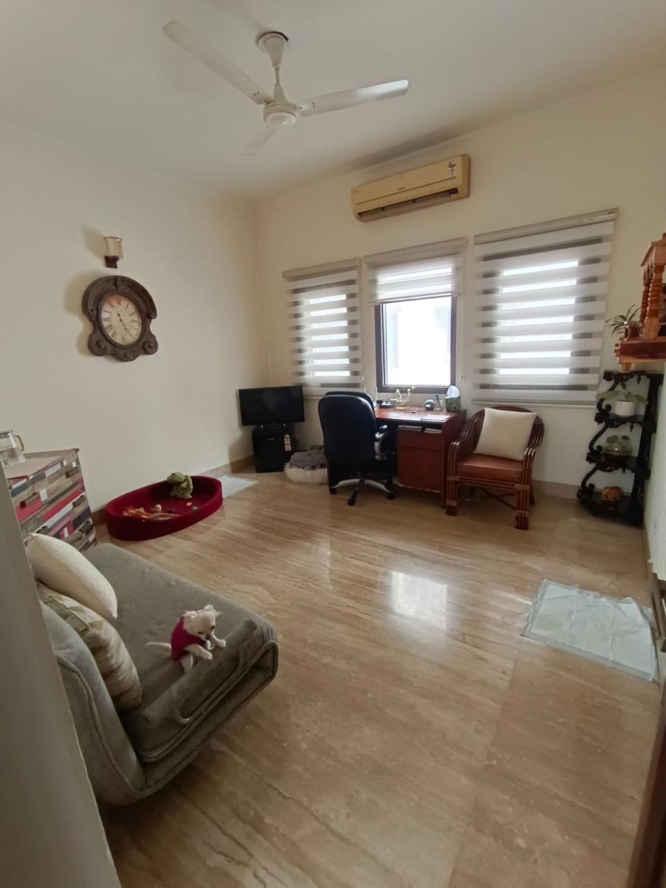 4 BHK + Servant Room Builder Floor For Rent in New Friends Colony