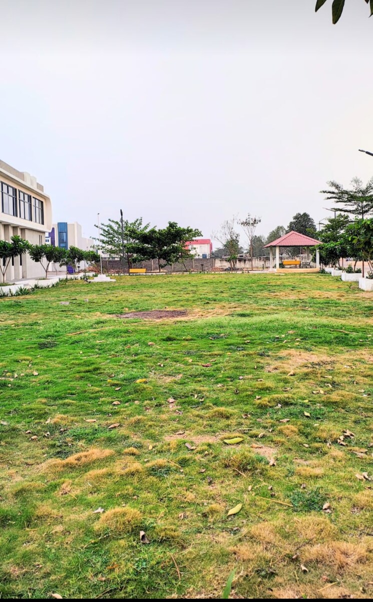 Garden, vidhan sabha marg  1055 Sq.Ft. Plot In Vidhan Sabha Marg Raipur 8669543