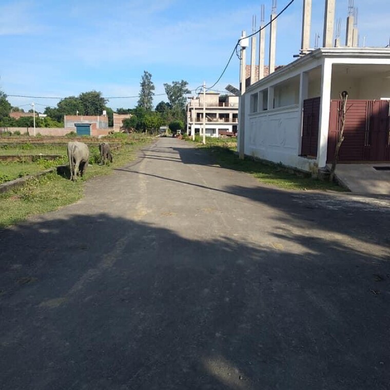 Exterior View, faizabad road  997 Sq.Ft. Plot In Faizabad Road Lucknow 8669644