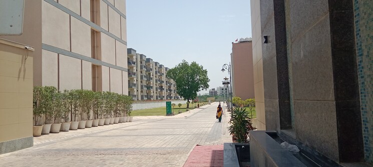 Exterior View, breez-flora-avenue-33 3 Bedroom 1440 Sq.Ft. Apartment In Sohna Sector 33 Gurgaon 8669759