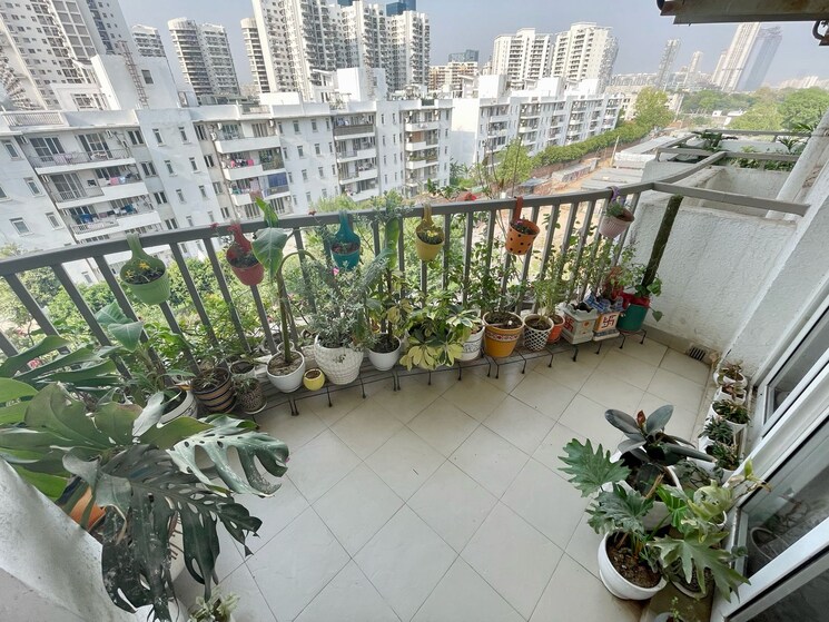 Master Plan, emaar-the-palm-drive-the-sky-terraces 4 Bedroom 2100 Sq.Ft. Apartment In Sector 66 Gurgaon 8670118