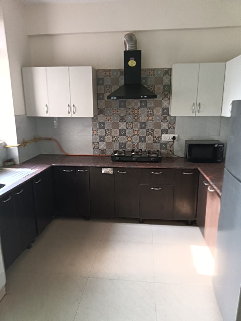 3 BHK Apartment For Rent in Maxblis White House