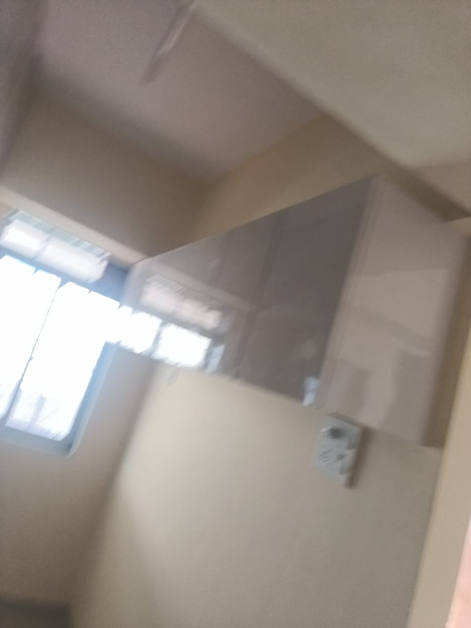 1 BHK Apartment For Rent in Tulip Apartment Wadala