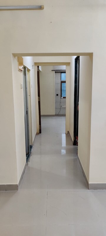 1 BHK Apartment For Rent in Wadala East