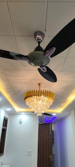 3 BHK 900 Sq.Ft. Builder Floor in Govindpuri