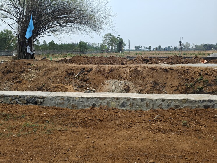 undefined, bhogapuram  200 Sq.Yd. Plot In Bhogapuram Vizag 8671238