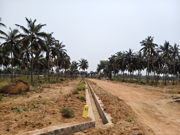 undefined, building-blocks-aero-hub  200 Sq.Yd. Plot In Bhogapuram Vizag 8671284