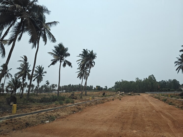 undefined, building-blocks-aero-hub  200 Sq.Yd. Plot In Bhogapuram Vizag 8671284