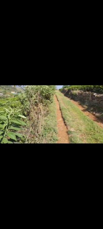  Plot – Exterior View View at Ooty Road - for Sale