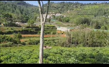  Plot For Sale in Ooty Road