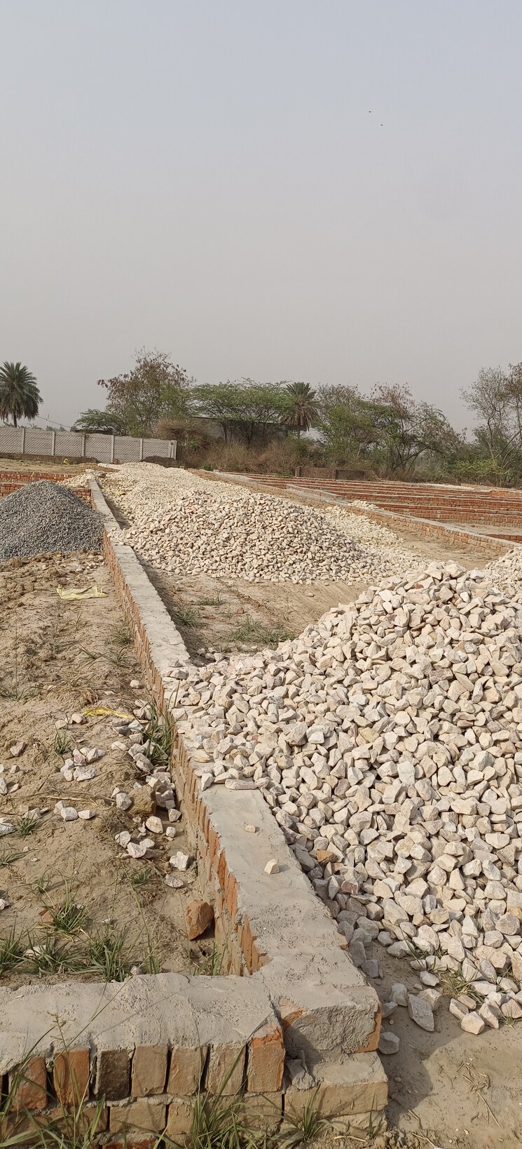 undefined, ahmamau  1000 Sq.Ft. Plot In Ahmamau Lucknow 8672021