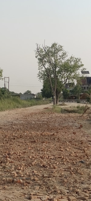 Plot Area in  Plot at Gosainganj – for Sale