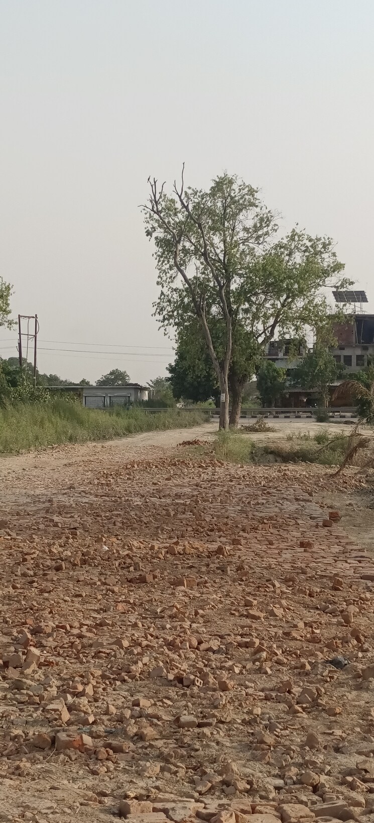 undefined, gosainganj  1250 Sq.Ft. Plot In Gosainganj Lucknow 8672059