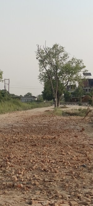 Plot Area in  Plot at Gosainganj – for Sale