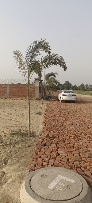 Plot Area in  Plot at Gosainganj – for Sale