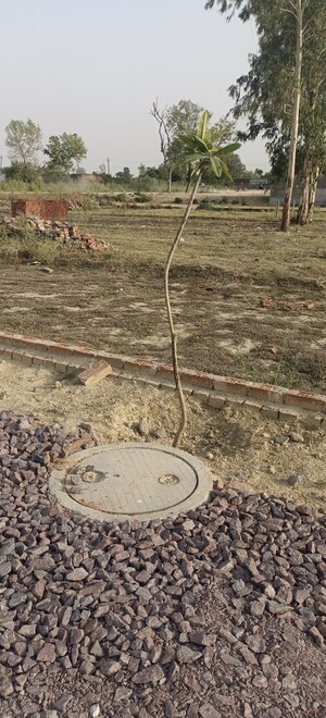 Plot Area in  Plot at Gosainganj – for Sale