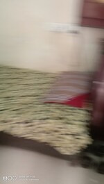 1 Rk  350 Sq.Ft. Builder Floor in Lajpat Nagar I