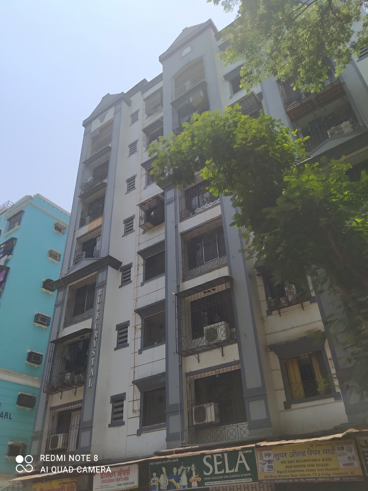1 BHK Apartment For Rent in Blue Crystal