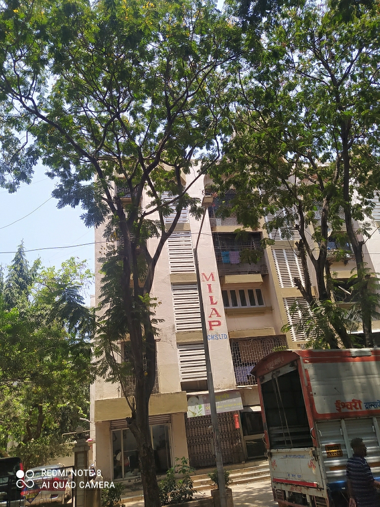 1 BHK Apartment For Rent in Milap CHS Dahisar