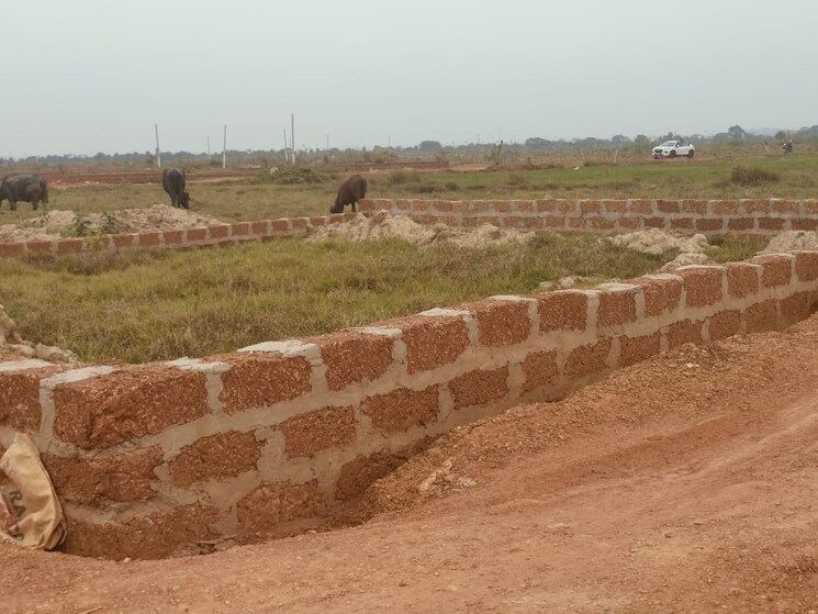 undefined, patrapada  1303 Sq.Yd. Plot In Patrapada Bhubaneswar 8672882