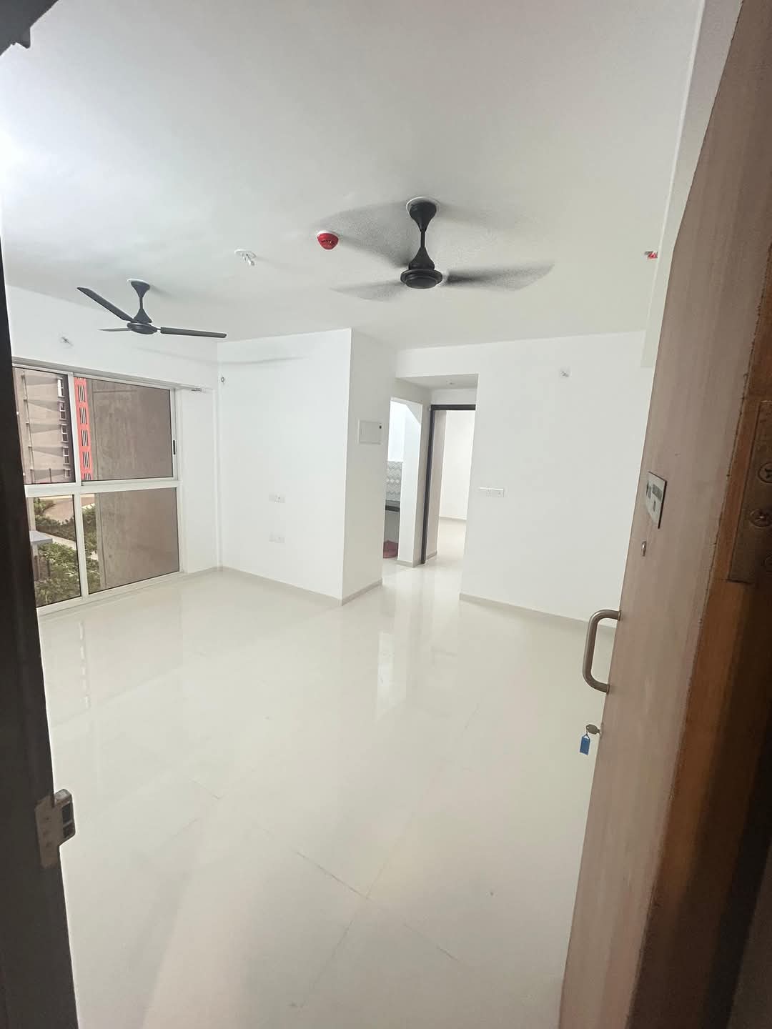 1 BHK Apartment For Rent in Lodha Codename Premier