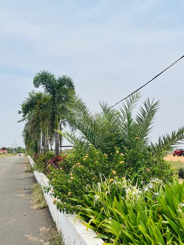  Plot – Garden View at Mucherla - for Sale