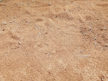 Plot Area in  Plot at Thachanallur – for Sale