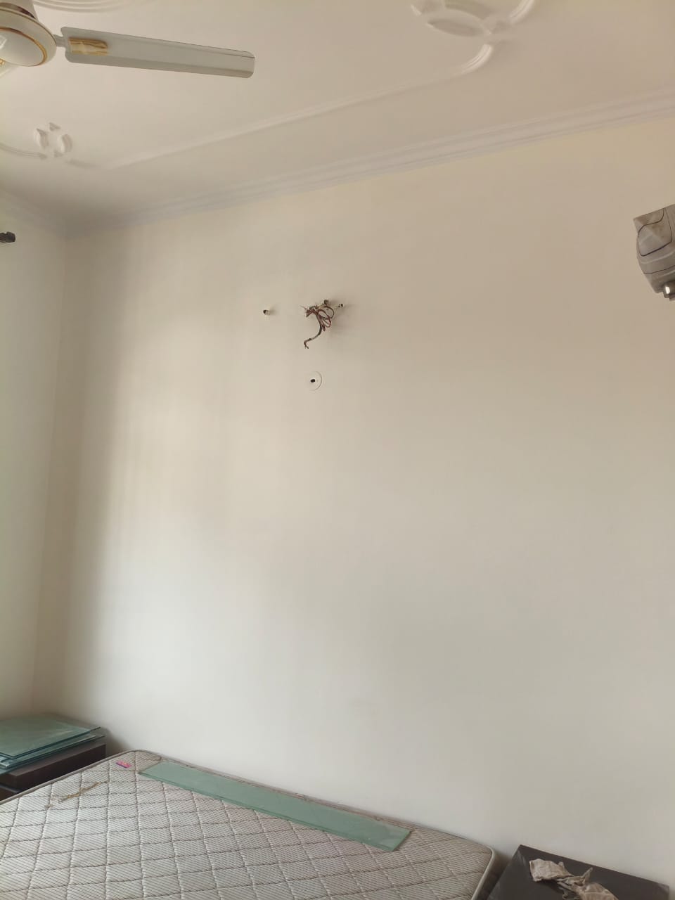 2 BHK + Pooja Room Builder Floor For Rent in Sector 23A