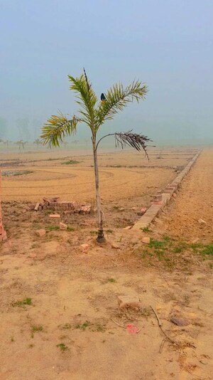 Plot Area in  Plot at Taramandal – for Sale