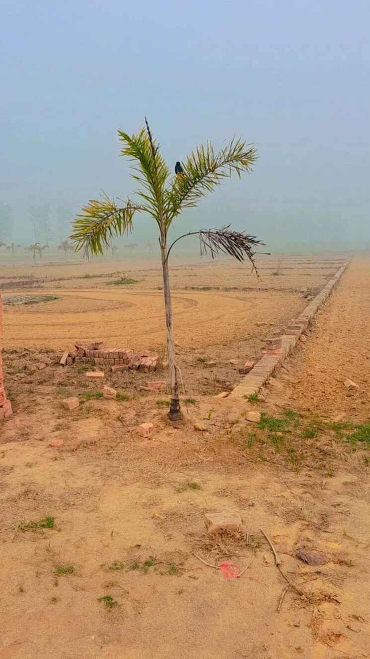 undefined, taramandal  1000 Sq.Ft. Plot In Taramandal Gorakhpur 8673995