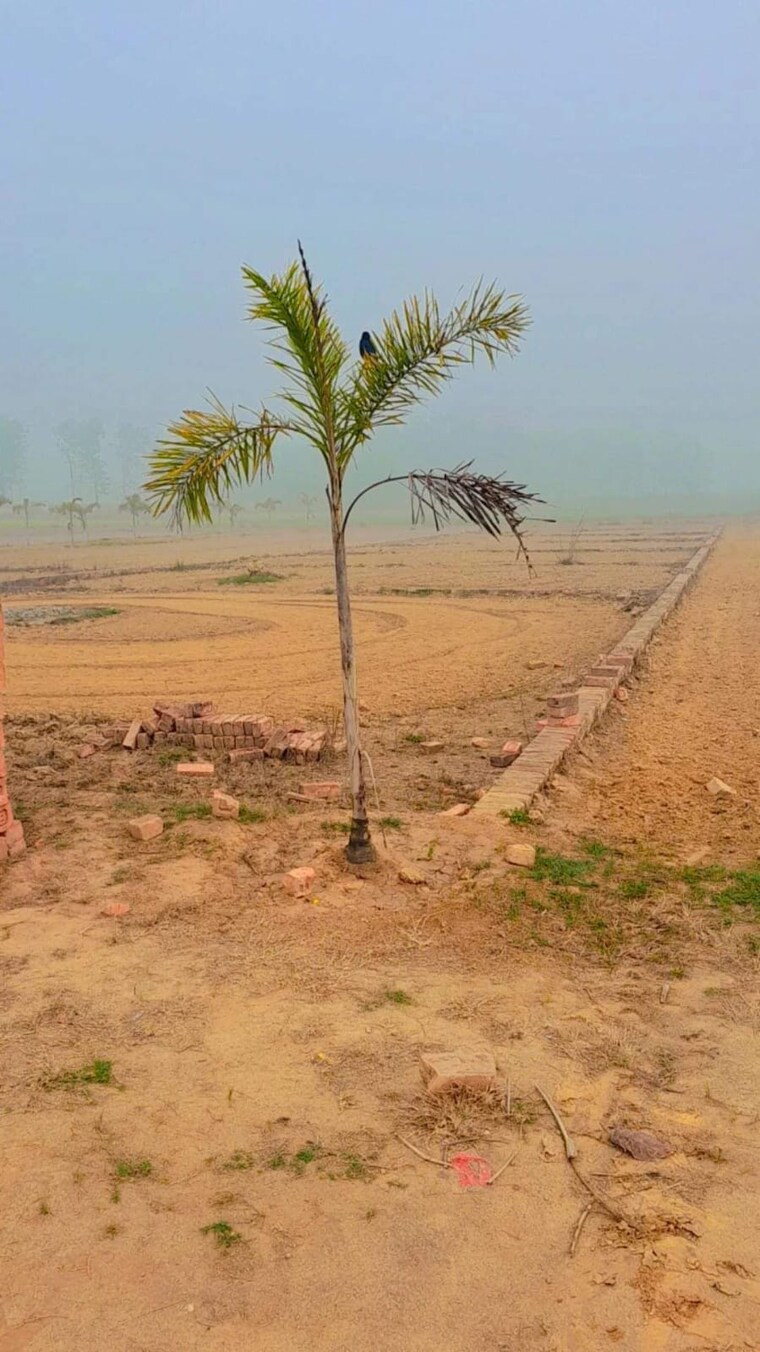 undefined, taramandal  1000 Sq.Ft. Plot In Taramandal Gorakhpur 8673995