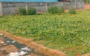 Land For Sale in Jind ho