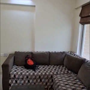 2 BHK Apartment For Rent in Platinum Pallazo, Akurdi