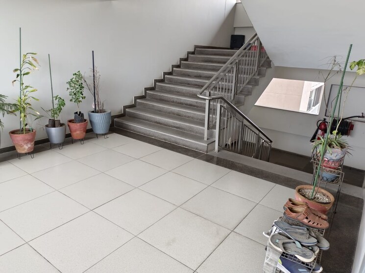 undefined, navrangpura 3 Bedroom 2196 Sq.Ft. Apartment In Navrangpura Ahmedabad 8674261