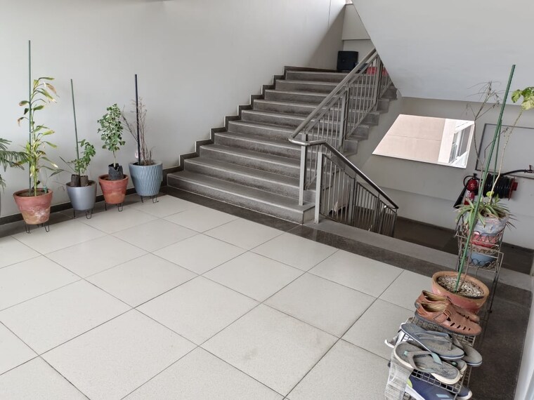 undefined, navrangpura 3 Bedroom 2196 Sq.Ft. Apartment In Navrangpura Ahmedabad 8674261