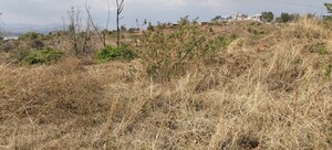 Plot Area in  Plot at Igatpuri – for Sale