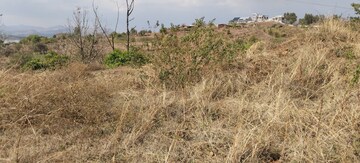 Plot Area in  Plot at Igatpuri – for Sale