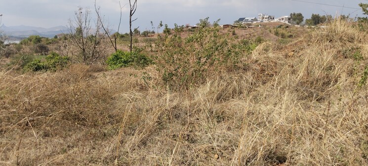 undefined, igatpuri  1 Acre Plot In Igatpuri Nashik 8674306