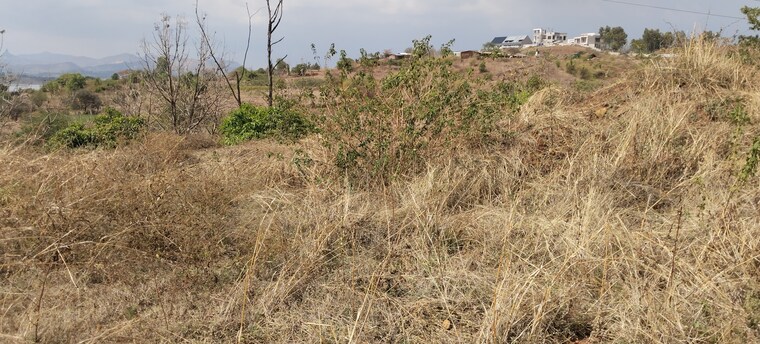 undefined, igatpuri  1 Acre Plot In Igatpuri Nashik 8674306