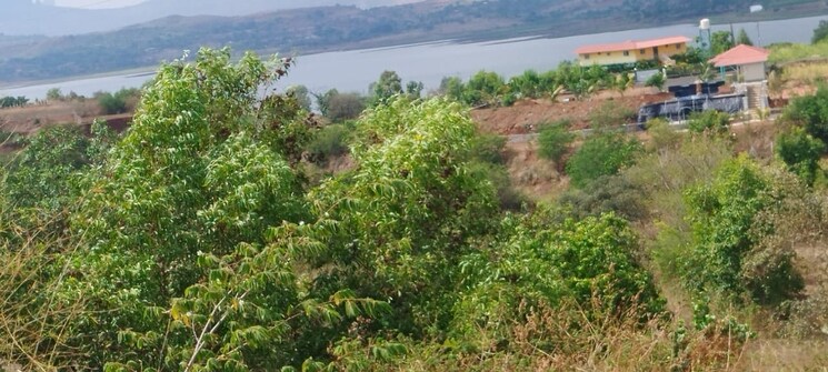 Garden, igatpuri  4 Acre Plot In Igatpuri Nashik 8674325