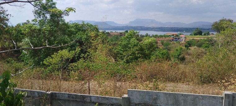 undefined, igatpuri  4 Acre Plot In Igatpuri Nashik 8674325