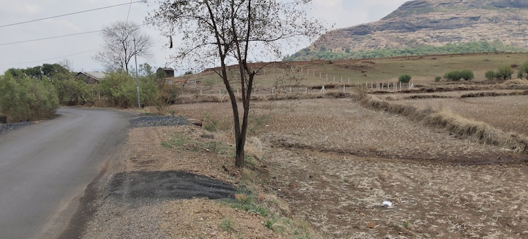 undefined, igatpuri  2 Acre Plot In Igatpuri Nashik 8674361