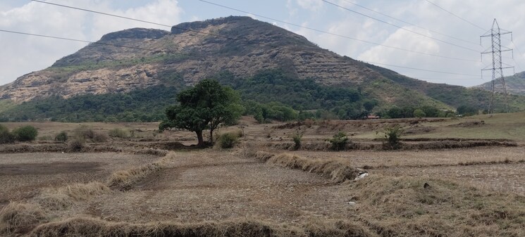 undefined, igatpuri  2 Acre Plot In Igatpuri Nashik 8674361