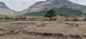  Plot For Sale in Igatpuri