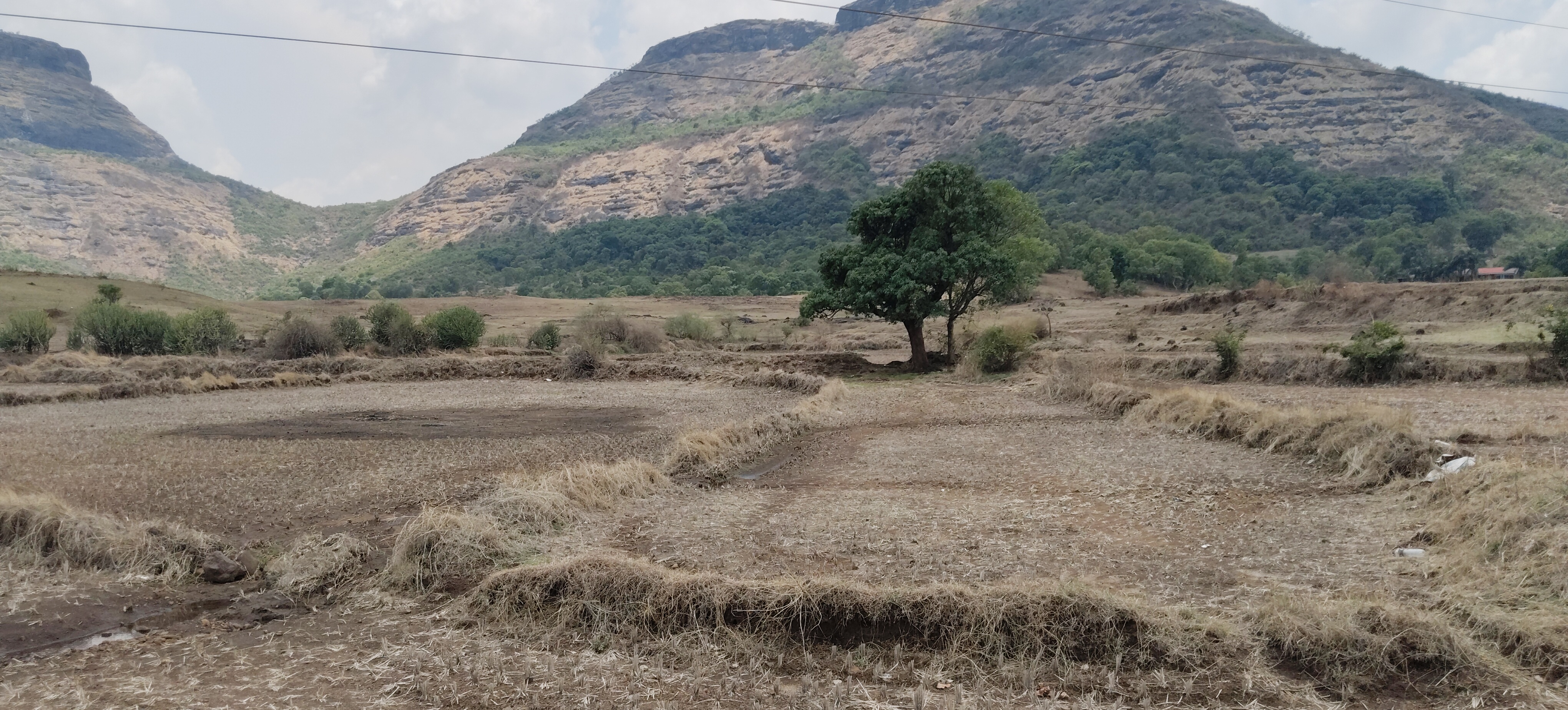 Plot For Sale in Igatpuri